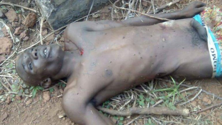 received_10154186785002493-1-770x433